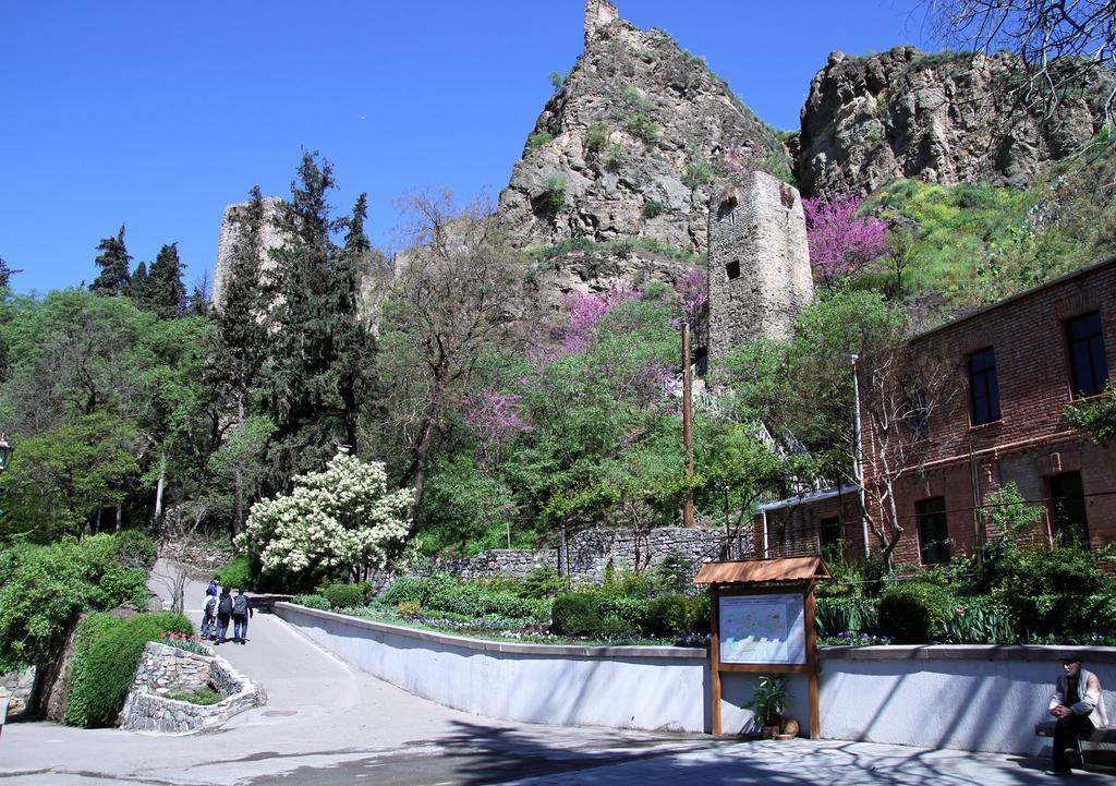 Apartment on Botanikuri Tbilisi Ruang foto